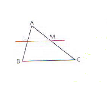 الدرس تناسبية الاطوال لأضلاع المثلثين المعينين بمستقيمين متوازيين يقطعهما قاطعان غير متوازيين
